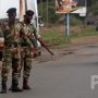Zimbabwe Defence Forces