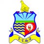 ZESA Logo