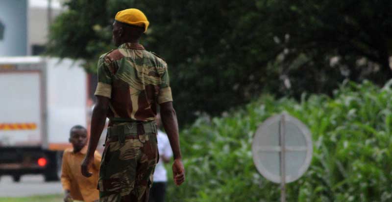 Presidential Guard Soldier Walking
