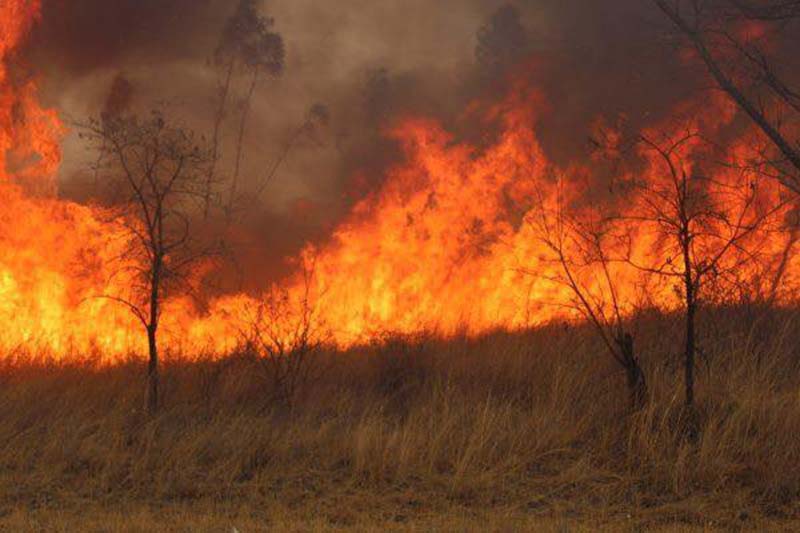 Veld Fire Destroys 3 Brand New Tractors, Other Farm Equipment At A Somabula Farm