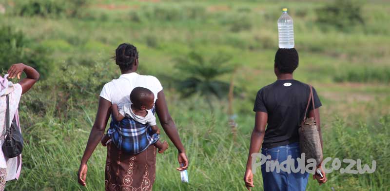 Women's Unemployment Rate Higher Than That Of Males - ZIMSTAT