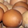 Banket Man Killed For Stealing Eggs