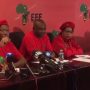 Julius Malema Grace Mugabe