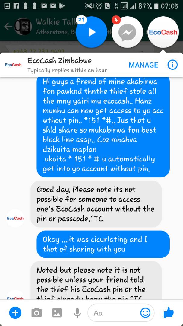 EcoCash