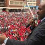Nelson Chamisa, MDC-T Acting President