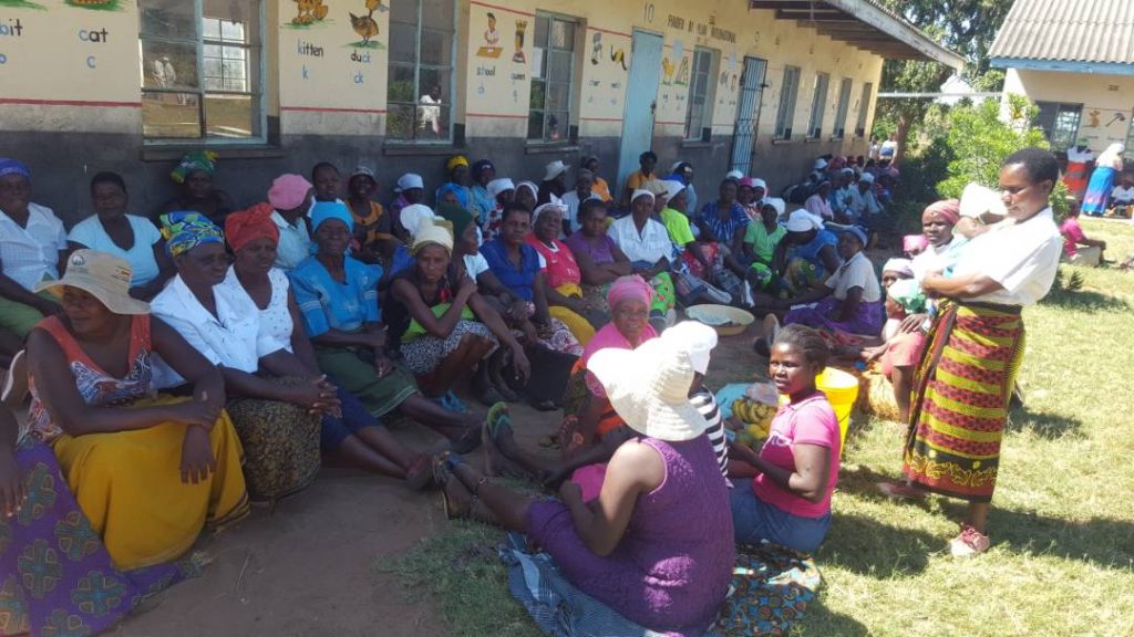 Zanu-PF Primaries 2018 - Checheche Waiting