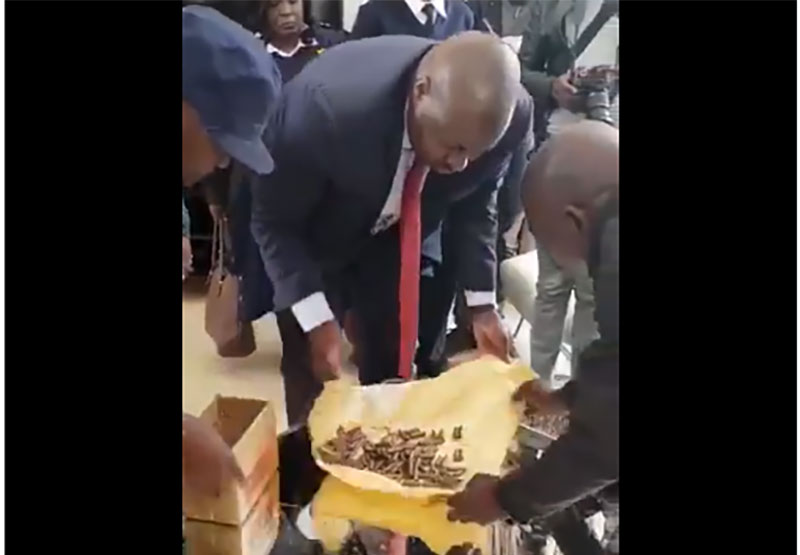 Saviour Kasukuwere