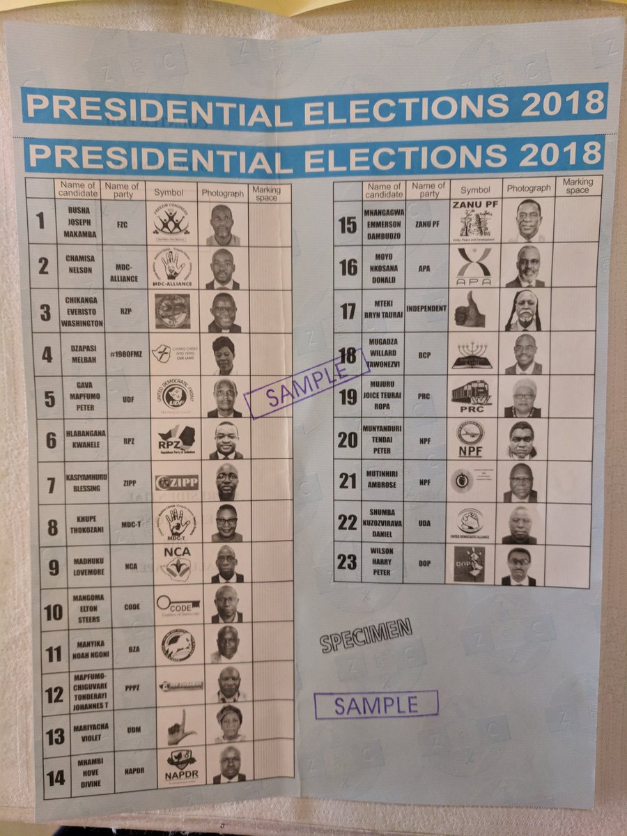 Biti’s Party Loses “Pro-Mnangagwa” Presidential Ballot Paper Court ...