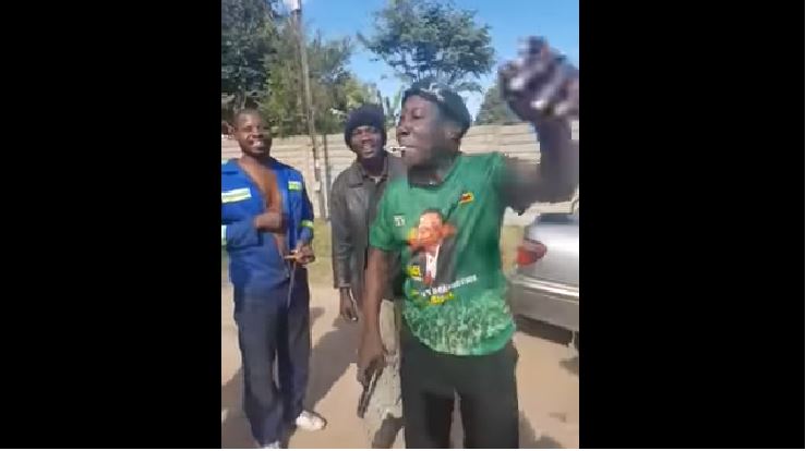 Zanu-PF