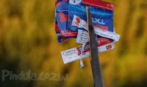 zimbabwe airtime