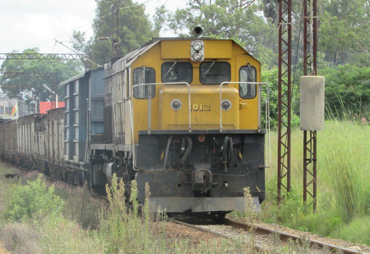 NRZ Train