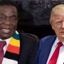 Emmerson Mnangagwa and Donald Trump