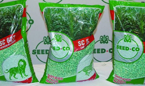 Seed Co Warns Farmers Of Fake Maize Seeds – Pindula News