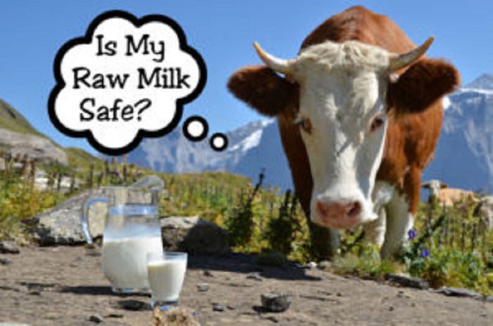 Milk