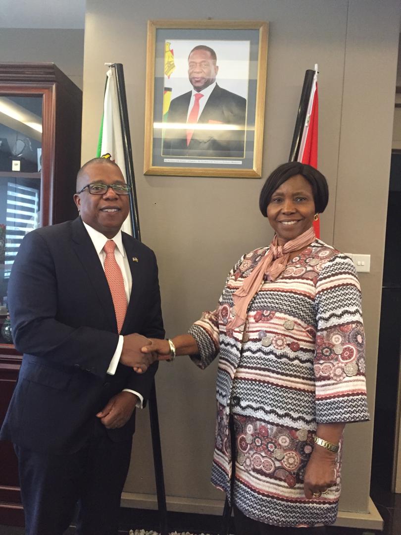 Zim Defence Minister Meets United States Ambassador – Pindula News