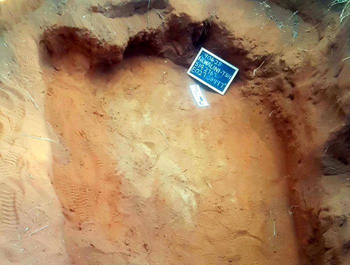 Gukurahundi Exhumation