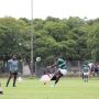 Rugby: Sables Squad For November Test Series