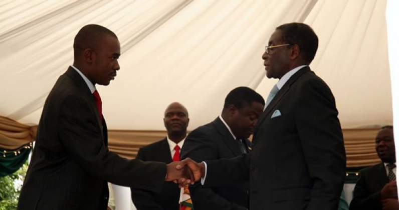 Dabengwa, Tsvangirai, Mugabe, Everyone, Endorsed Me - Chamisa