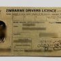 Driver's License 113 fake driving licence discs businessman arrested