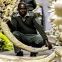 Man Arrested For Unauthorised Possession Of Raw Ivory