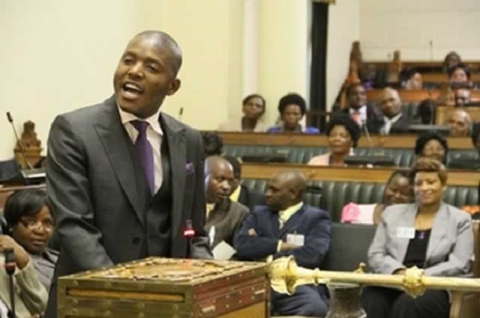 Wadyajena Abused His Parliamentary Post To Push Rival Musarara Out Of Transport Deal