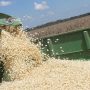 Agriculture Minister Says Zimbabwe Has Enough Grain Stocks