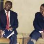 PAUL MANGWANA & DOUGLAS MWONZORA Constitutional Amendment