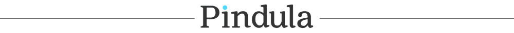 Pindula-newsletter-logo