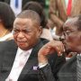 VPS Chiwenga and Mohadi