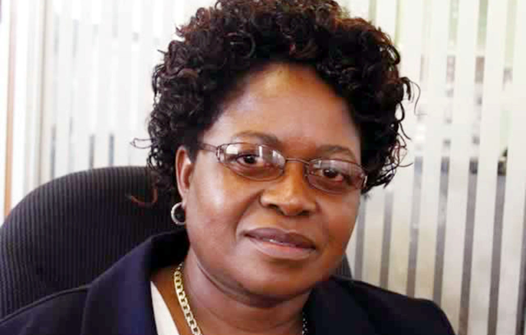 Looters’ Paradise : Alex Magaisa Unpacks Auditor General’s Report