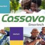 cassava smartech Cassava Smartech Zimbabwe Limited Rebrands To EcoCash Holdings Zimbabwe Limited