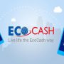 Cassava Smartech's Ecocash ECOCASH$AVE Suspended