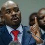 MDC Alliance Recalls Own Councillors