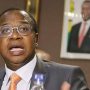Government Spends US$200K On Finance Minister Ncube's Hotel Bills - Report