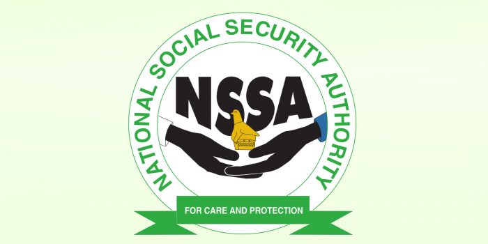 NSSA Reverses Appointment Of Agnes Masiiwa As Acting General Manager ⋆ ...