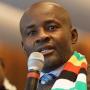 By Simply Carrying Out Your Duty, You Can Be Termed An Enemy Of The State - Mliswa