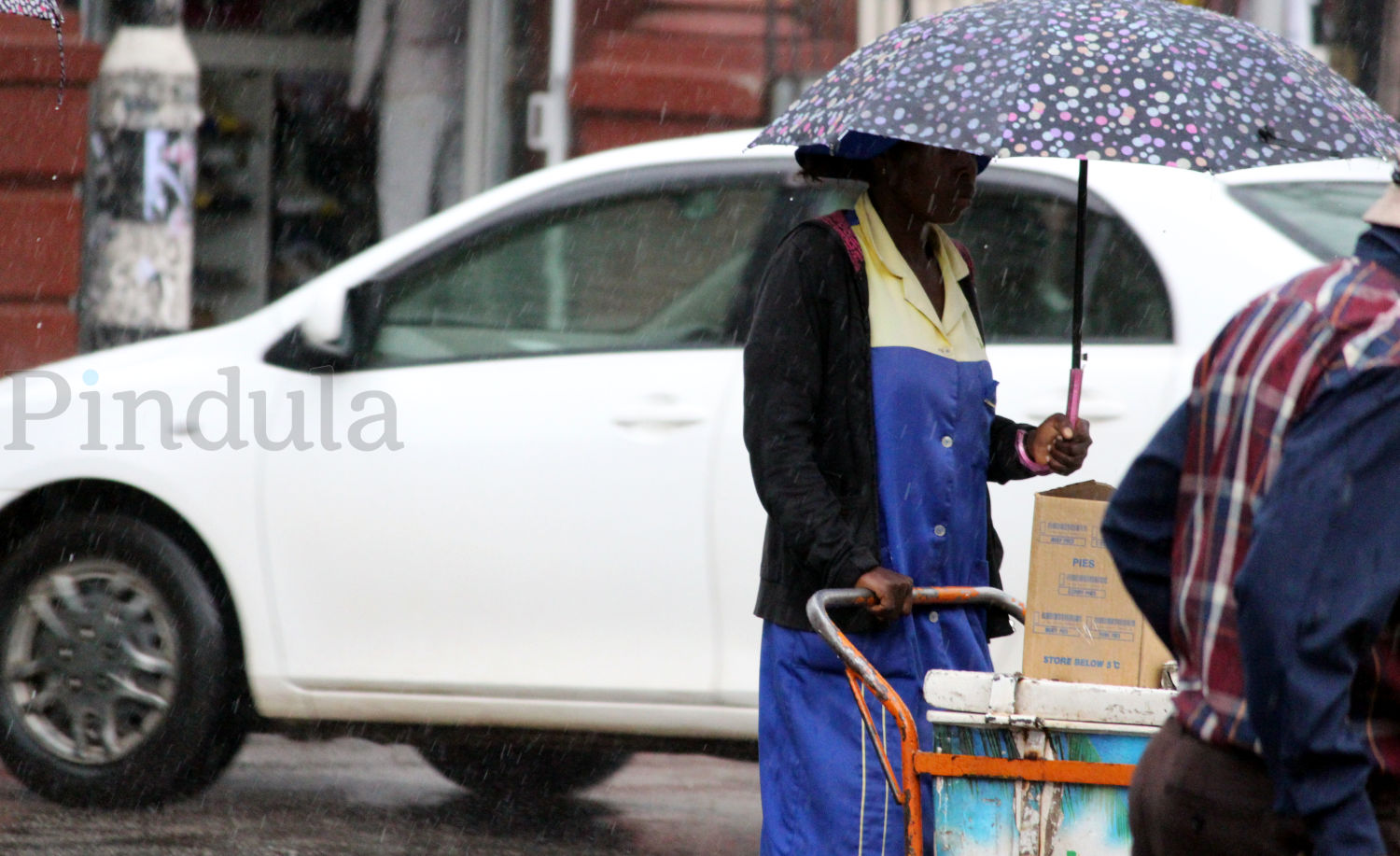 Normal Rains Expected In 2019/2020 Season – SADC