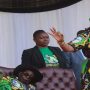 George Charamba and Grace Mugabe ministers zanu pf deal how remarks vaccines misleading zimfact