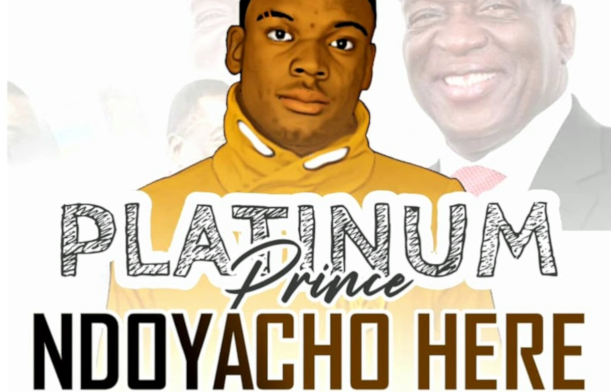 LISTEN: Ndoyacho Here Mr. President – Platinum Price