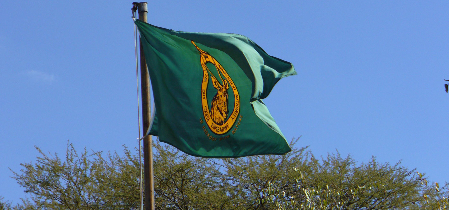Former Zimparks Vice Chairperson In Court For Corruption