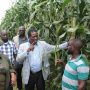 MNANGAGWA COMMAND AGRICULTURE agricultural revolution Zimbabwe