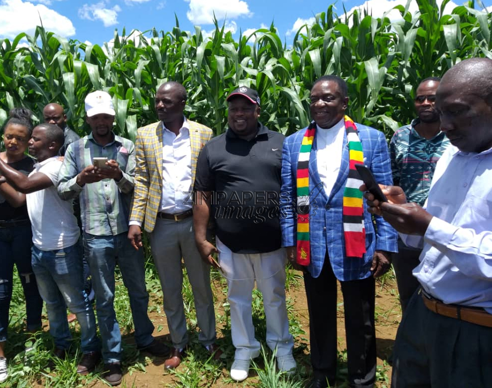 We Have No Plans Of Joining The POLAD “Charade” – MDC Alliance