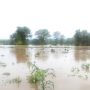 Floods In Binga