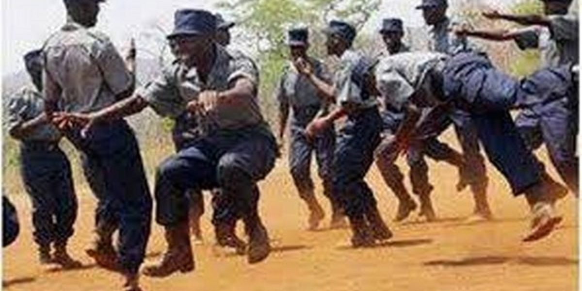 ZIMBABWE-police-dance
