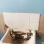Parirenyatwa Hospital's Ward 1A in state of dilapidation