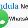 Pindula WhatsApp