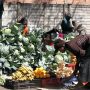 Vegetable Traders