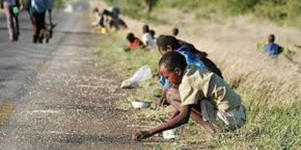 Hunger in Zimbabwe