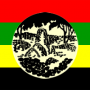 ZAPU Flag