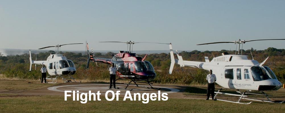 Flight Of Angels